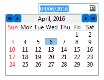 Date edit field showing the calendar. 